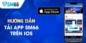 Hướng dẫn tải app SM66